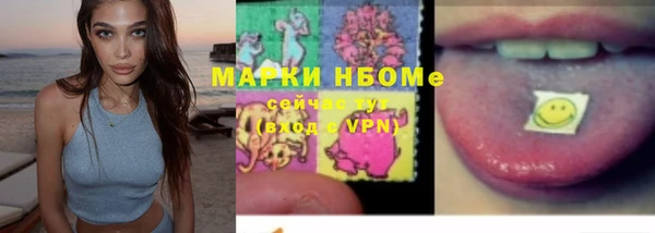 прущая мука Инсар