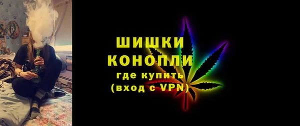 spice Инта
