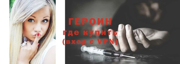 spice Инта