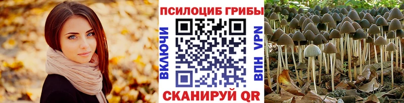 Купить  Северобайкальск  Псилоцибиновые грибы прущие грибы 